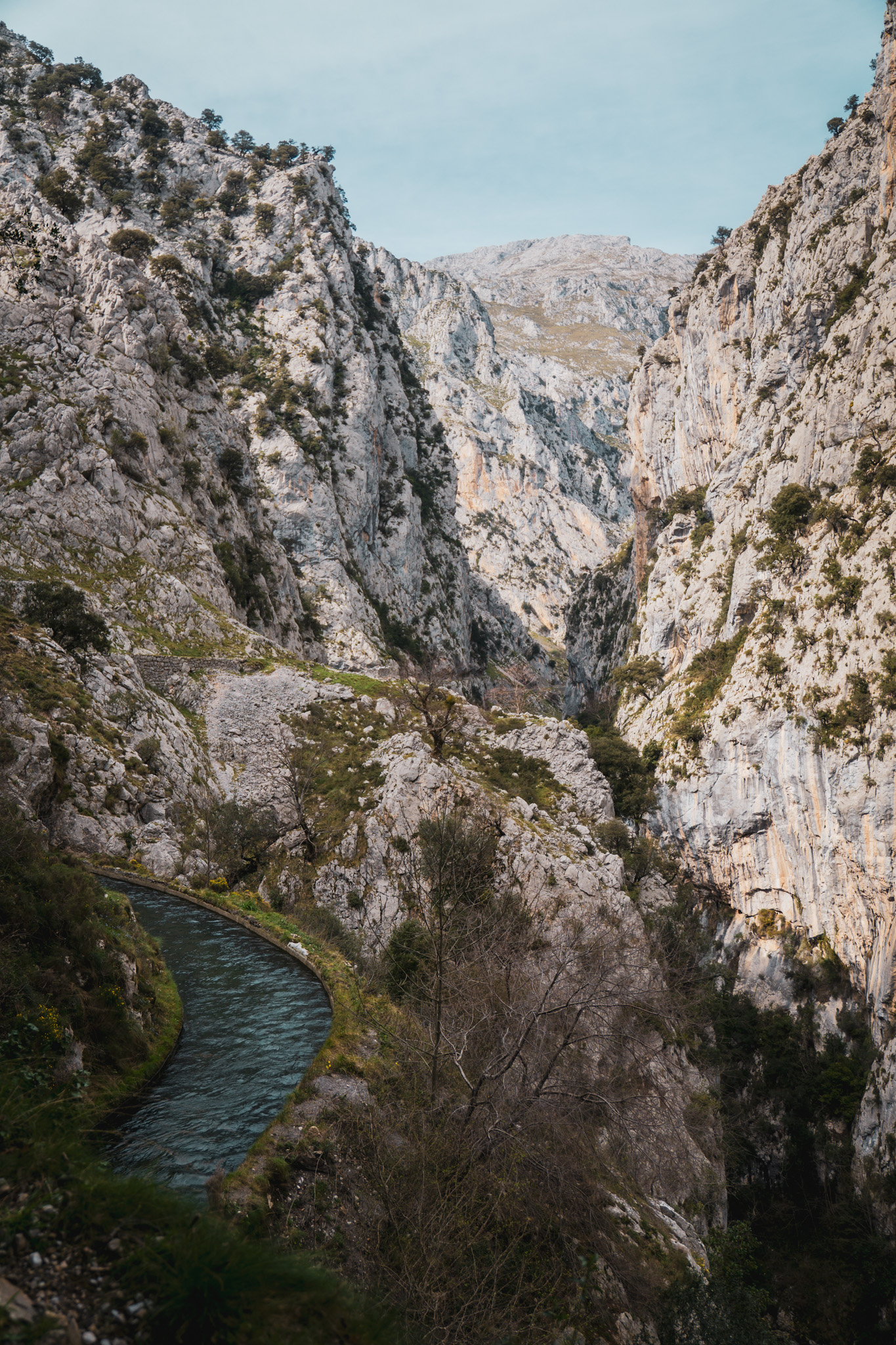 Picos de Europa photo 16